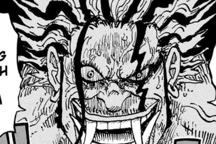 漫画raw ワンピース『ONE PIECE』1165話  、ヒナはまだタイキに近づこうとしている